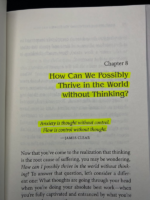 Don't Believe Everything You Think Book by Joseph Nguyen | Mindset & Inner Peace