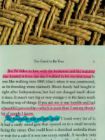 Too Good to Be True Book by Prajakta Koli | Romantic Comedy That Feels Real